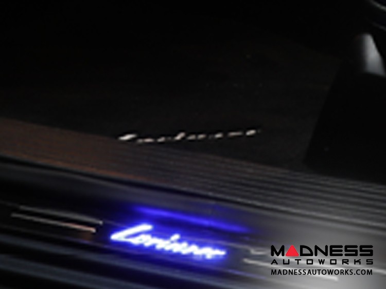 Mercedes Benz GLSClass (X166) Interior Door Sills by Lorinser